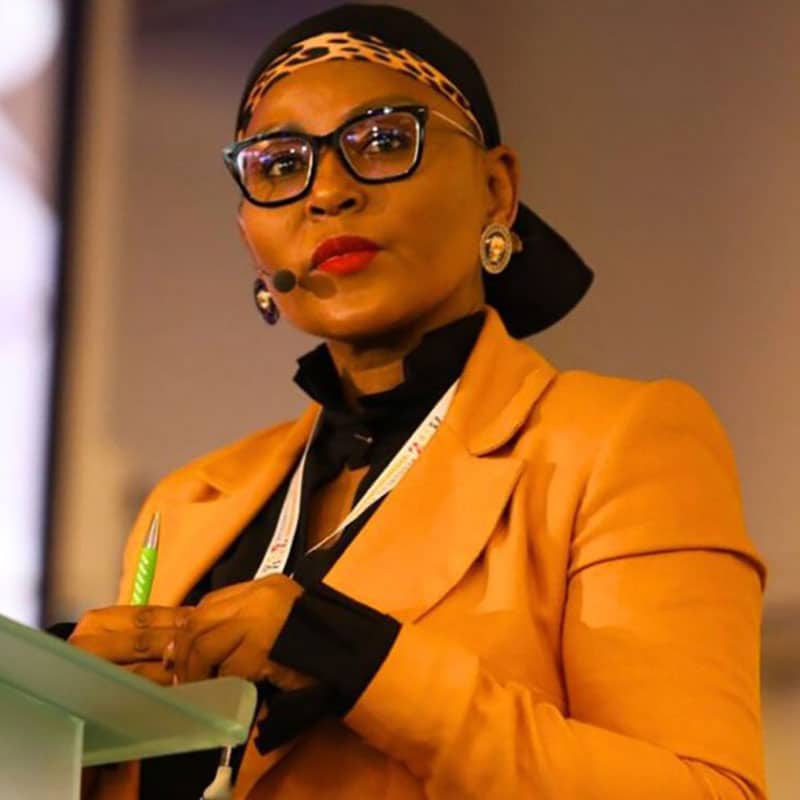 Nombasa-Tsengwa-The-Speakers-Firm Nombasa-Tsengwa-The-Speakers-Firm